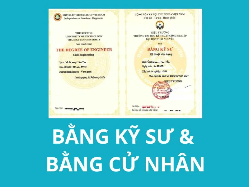 Tầm Quan Trọng Của Bằng Cử Nhân/Kỹ Sư Và Các Yêu Cầu Hồ Sơ Khi Tham Gia Thị Trường Lao Động