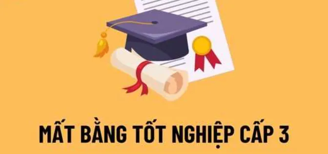 Mất Học Bạ Và Bằng Tốt Nghiệp Cấp 3: Quy Trình Xin Cấp Lại Chi Tiết Từ Sở Giáo Dục